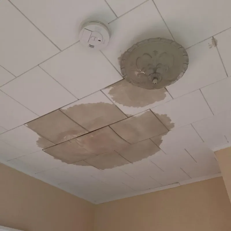 Ceiling Water Damage Repair in Putnam County, TN