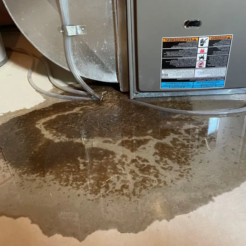 Pipe Burst and Leak Restoration in Putnam County, TN