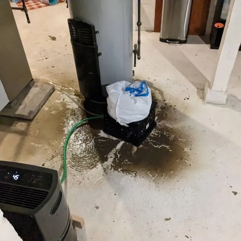 Sewage Backup Cleanup Service in Putnam County, TN